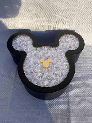 Mickey box